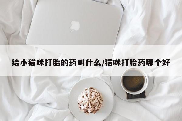 流产药微信给小猫咪打胎的药叫什么/猫咪打胎药哪个好