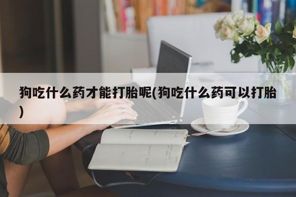 流产药微信狗吃什么药才能打胎呢(狗吃什么药可以打胎)