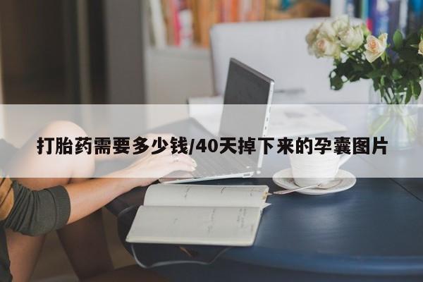流产药微信打胎药需要多少钱/40天掉下来的孕囊图片