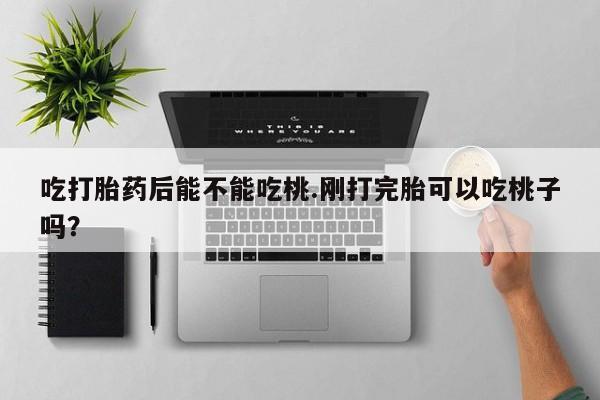 流产药微信吃打胎药后能不能吃桃.刚打完胎可以吃桃子吗？