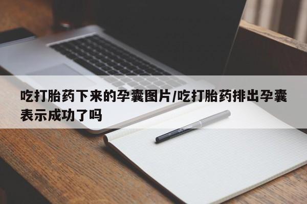 流产药微信吃打胎药下来的孕囊图片/吃打胎药排出孕囊表示成功了吗